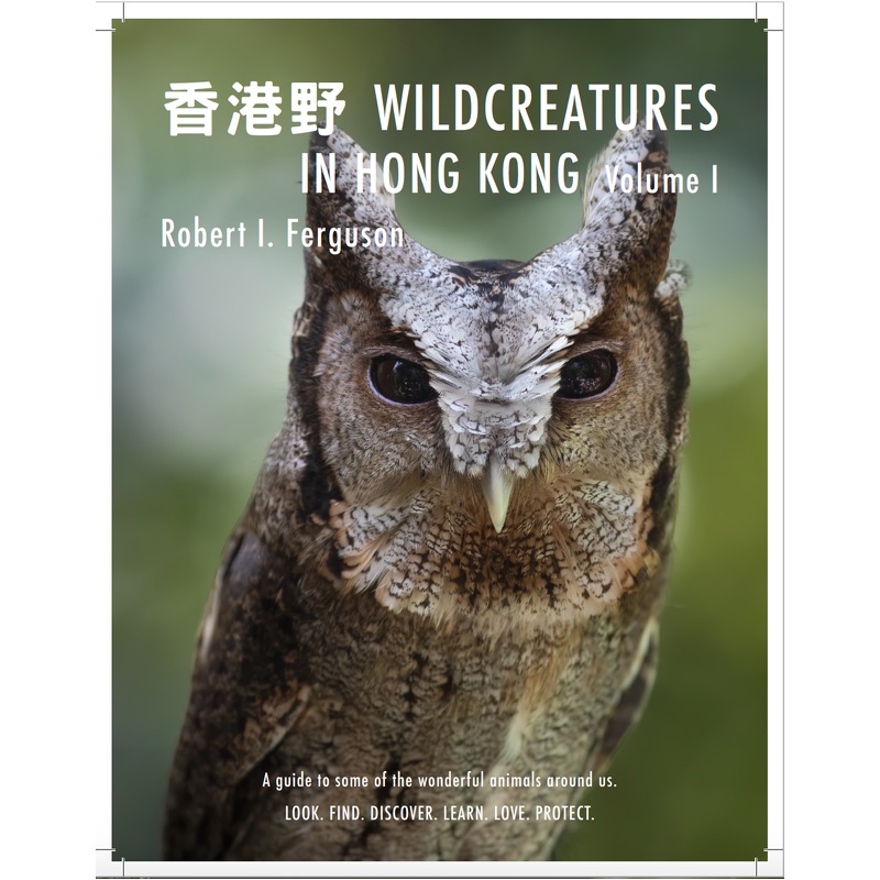 Wildcreatures In Hong Kong