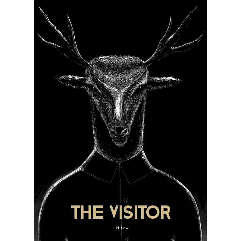 The Visitor