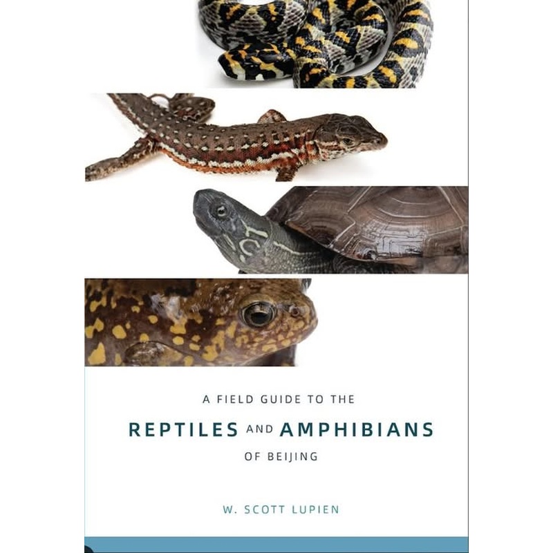 A Field Guide To The Reptiles And Amphibians Of Beijing