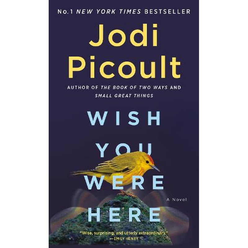 Wish You Were Here: A Novel