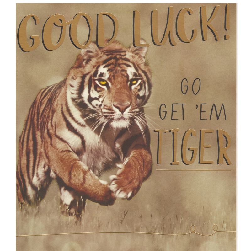 Good luck! Go Get'em Tiger