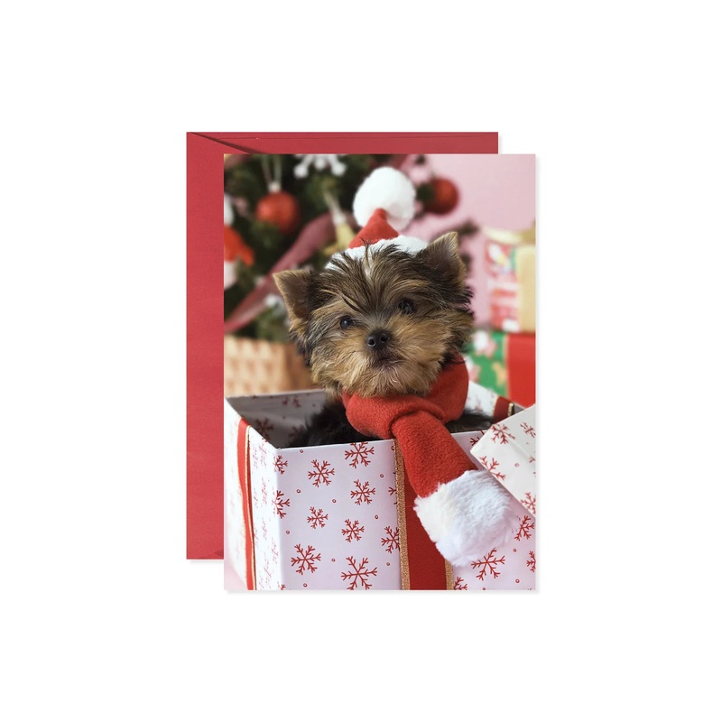 Yorkie Pup Greeting Card