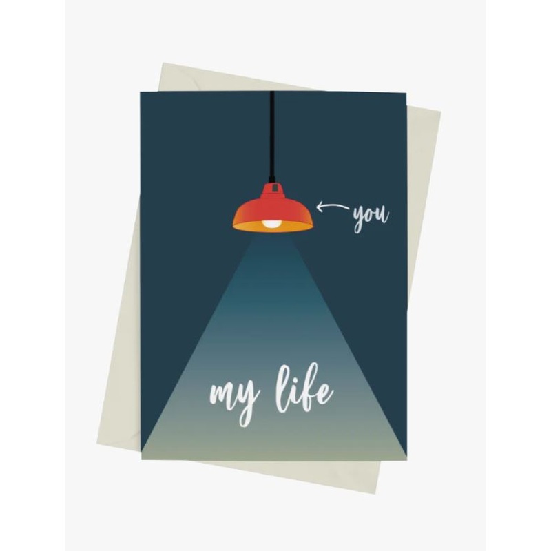 You Light Up My Life