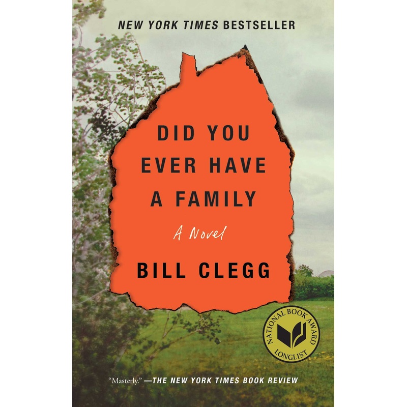 Did You Ever Have a Family: a novel