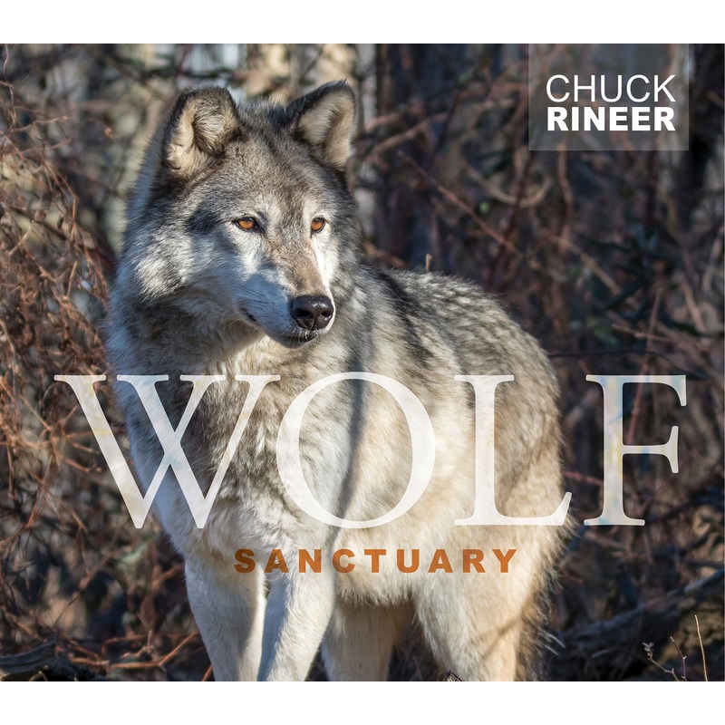 Wolf Sanctuary