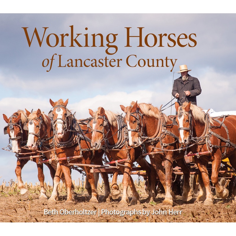 Working Horses of Lancaster County