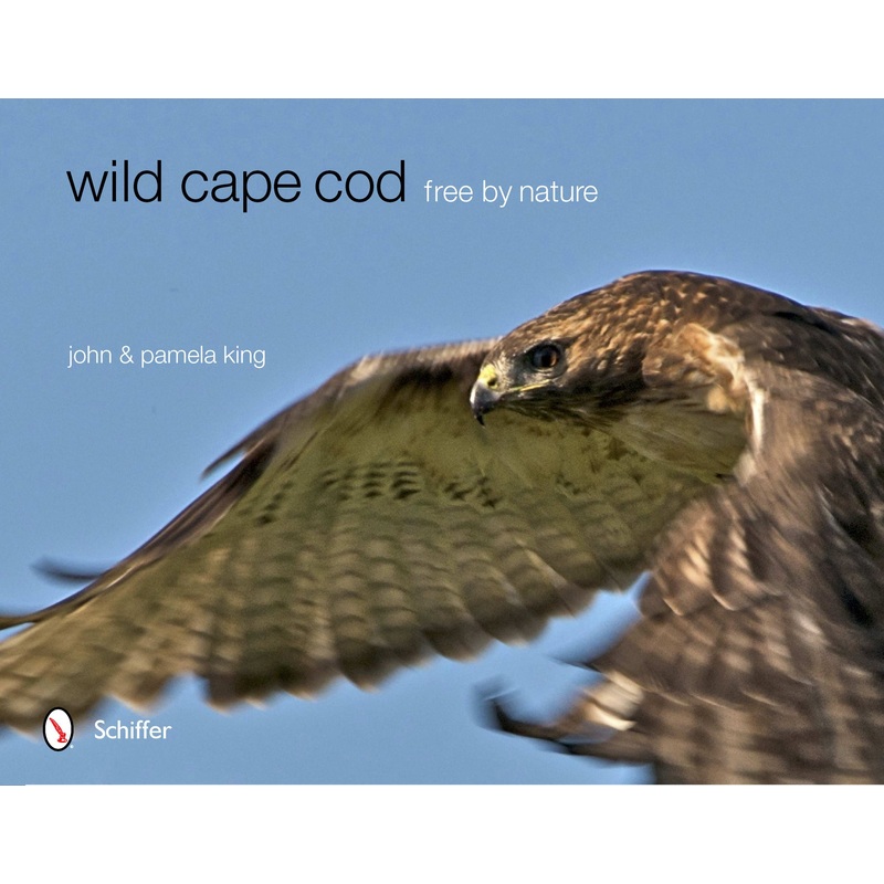 Wild Cape Cod