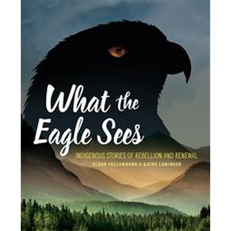 What the Eagle Sees: Indigenous Stories of Rebellion and Renewal