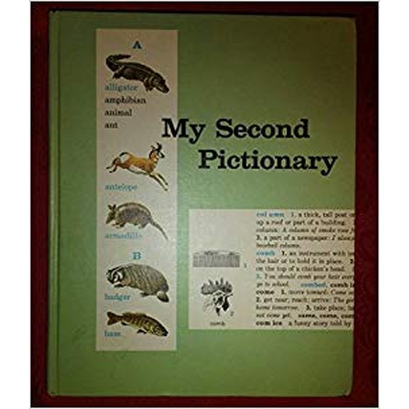 My Second Pictionary