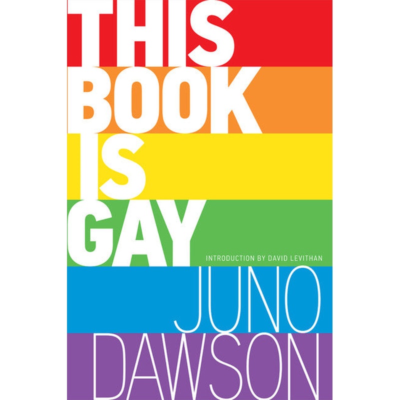 This Book Is Gay