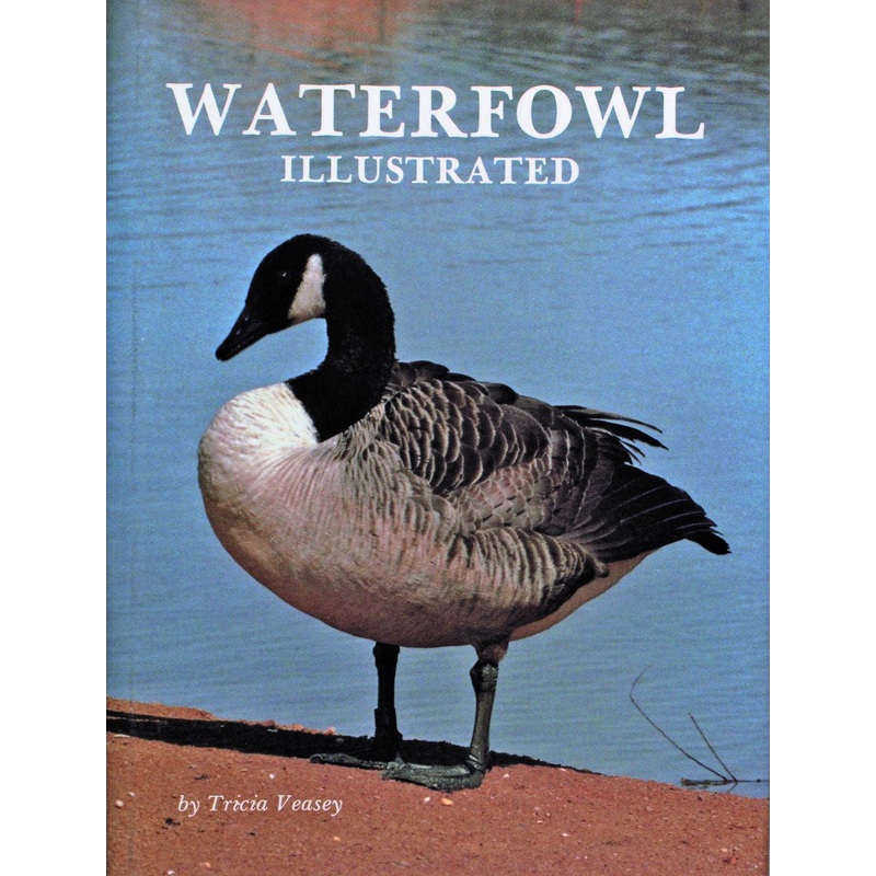 Waterfowl Illustrated
