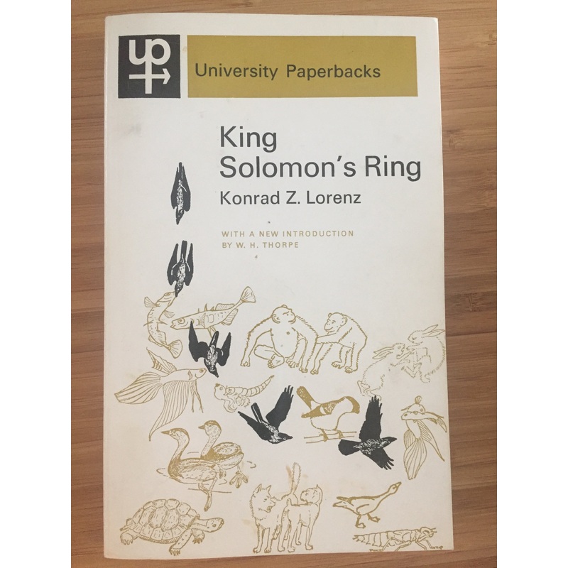 King Solomon's Ring