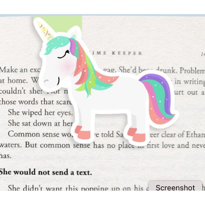 Jumbo Magnetic Bookmarks - Unicorn