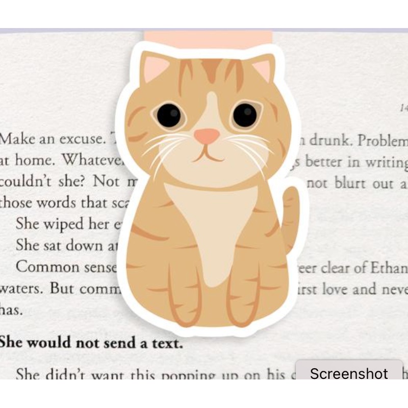 Jumbo Magnetic Bookmark - Tabby Cat