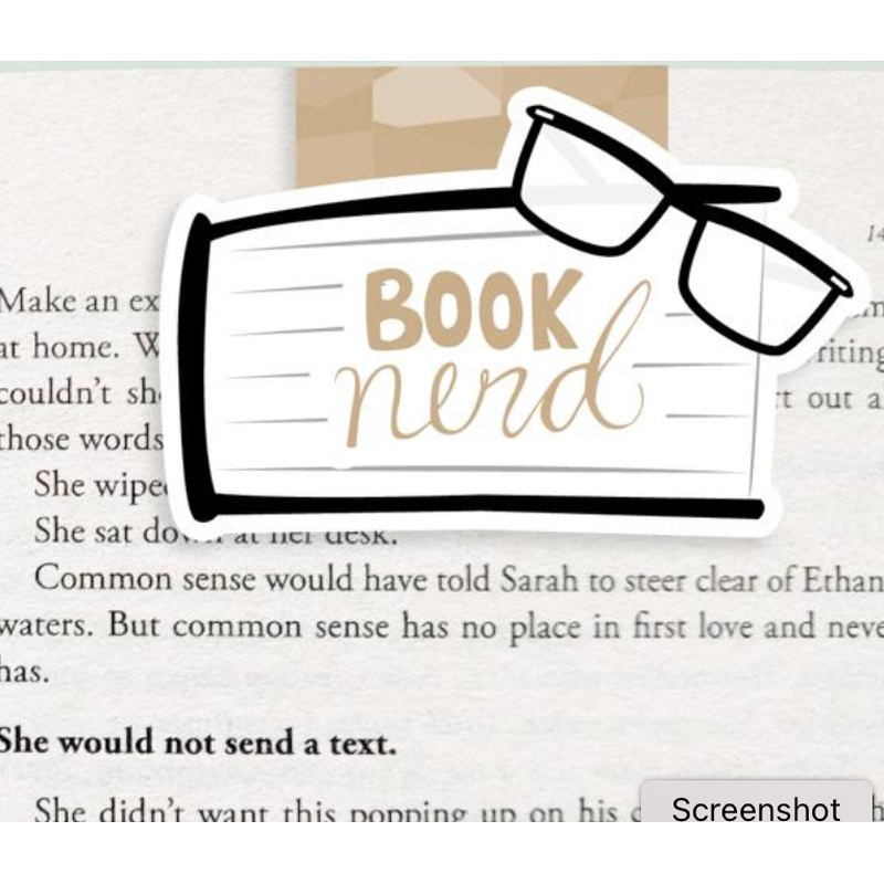 Jumbo Magnetic Bookmarks - Booknerd