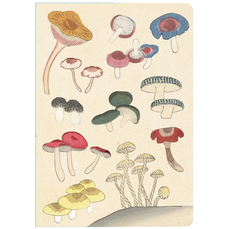 Healing Mushrooms Lined Paperback Journal