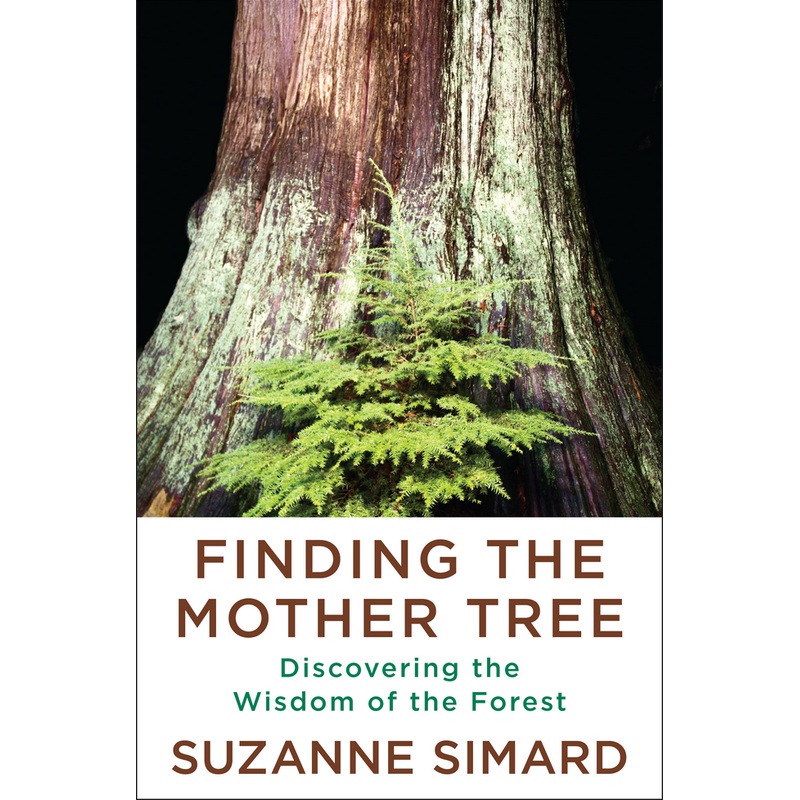 Finding the Mother Tree: Discovering the Wisdom of the Forest (HC)