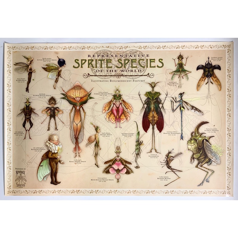 Representative Sprite Species of the World