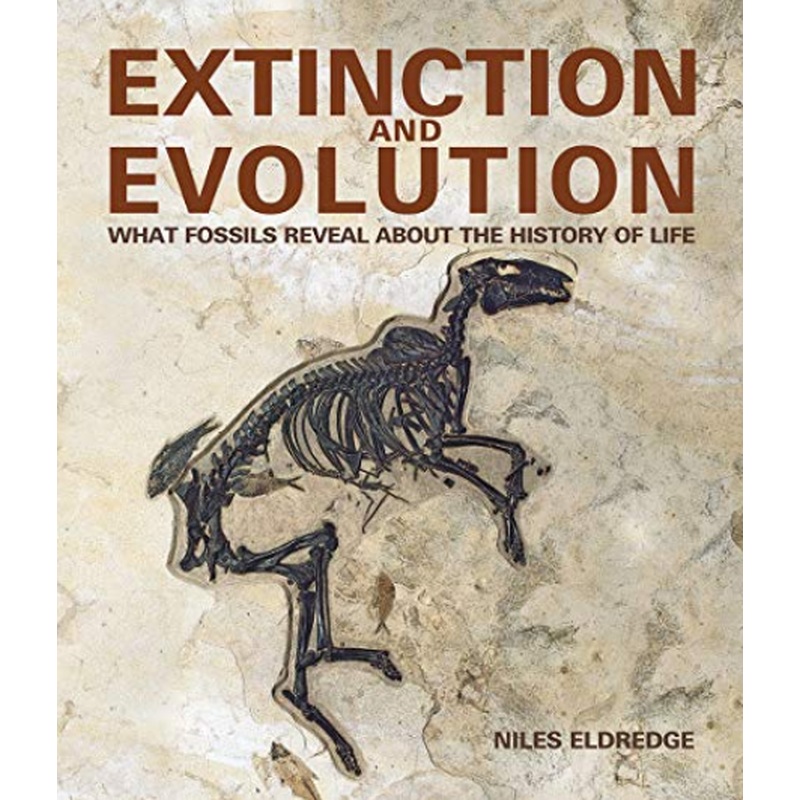 Extinction and Evolution