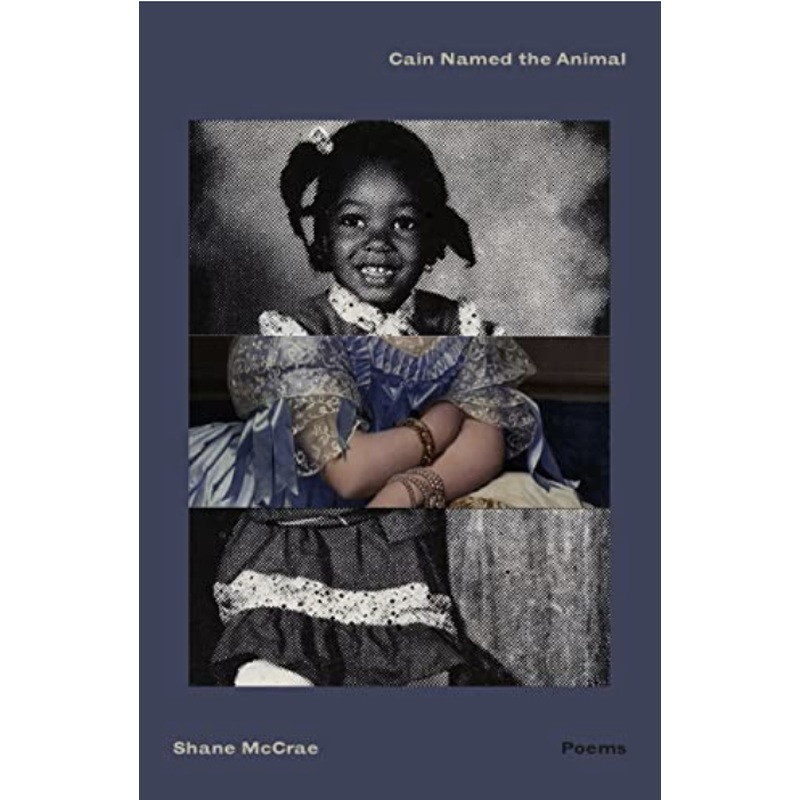 Cain Named the Animal: poems (R)