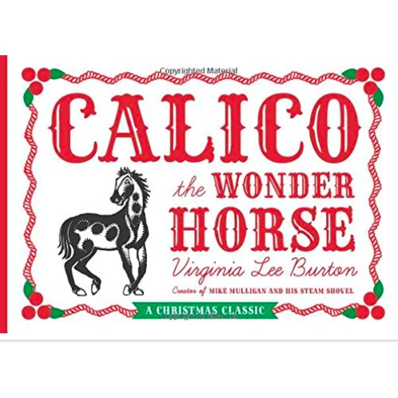 Calico the Wonder Horse