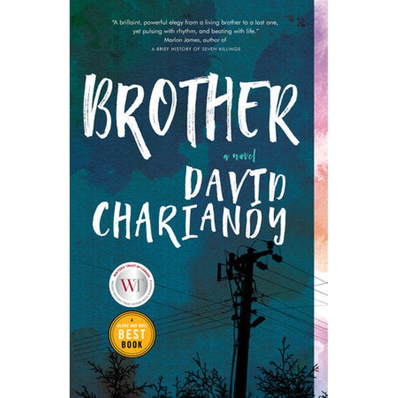 Brother: a Novel (U)