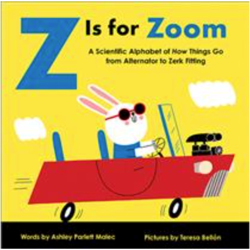 Z Is for Zoom