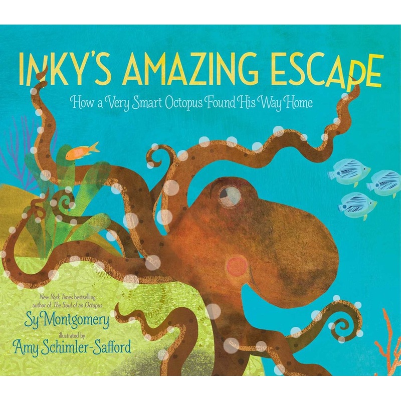 Inky's Amazing Escape : How a Very Smart Octopus Found His Way Home